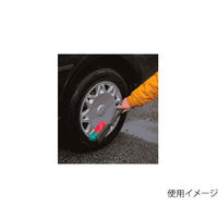 ヴァイカン トランスポート ロングハンドルブラシ 522252 1個（直送品）