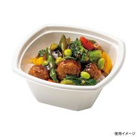 ケーピープラテック KMPランチ-7 本体 ホワイト 600枚(50×12) 54410 1ケース(600枚入(50枚（直送品）