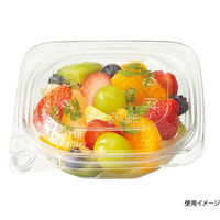 ケーピープラテック SJ5FL(平フタ) 改ざん防止蓋 400枚(50×8) 54700 1ケース(400枚入(50枚×8袋))（直送品）