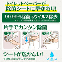 スクラビングバブル アルコール除菌 トイレ用 本体 300ml ジョンソン（わけあり品）