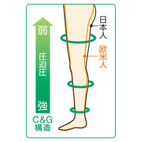 アルケア アンシルク・1 ハイソックス(つま先あり) 21392 1箱(1足入)