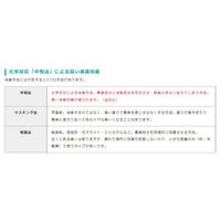 大一産業 ファーストチェックミント 300ml 4981390543802 1本（直送品）