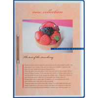 ライオン事務器 オピニオンファイル 高透明タイプ A4S 2穴 No.39C ブルー 12686 1セット(10冊)