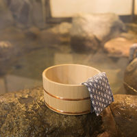 バスクリン 日本の名湯オリジナルギフトセット CMOG-10 1個（直送品）