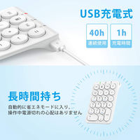 テンキー ワイヤレス（無線2.4GHz） 薄型 充電式 Tabキー付 ワイヤレステンキー ホワイト KP09-WH iClever