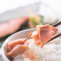 【お歳暮ギフト・のし付き】永徳 越後村上・永徳　塩引鮭［８切］ N-7H00(F) １個（直送品）