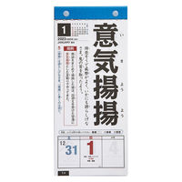 高橋書店 【2023年版】日めくり型 四字熟語カレンダー A4変型 E512 1冊（直送品）