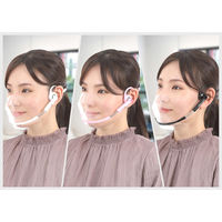 ウィンカム ヘッドセットマスク フルカバー本体セット ライトピンク ST-W-HSM-1LPFC 1個（直送品）