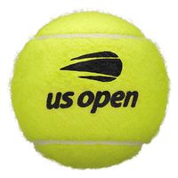 アメアスポーツジャパン テニスボール UsOpenExtraDuty USオープン・エクストラ・デューティ WRT1000J 1セット(2球×6個)