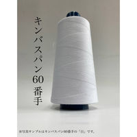 アズマ　キンバスパン＃60/3000m　795番色　1セット（3000m巻×10本）（直送品）