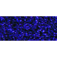 フジックス 【都手まり糸】 30m col.LM9 FK1212-LM9 1箱(30個入)（直送品）