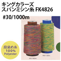 フジックス FUJIX キングカラーズスパンミシン糸 段染めミシン糸 #30 1000m [22] FK4846-5 1箱(6個入)（直送品）