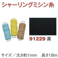 川村製紐工業 金天馬 ナイロンゴムカタン 20m 黒 KW91229 1セット(10袋)