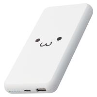 モバイルバッテリー 大容量 薄型 USB-C×1 USB-A×1 最大 15W 10000mAh EC-C05WF エレコム 1個（直送品）