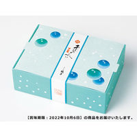 鼓月 姫千寿せんべい（ラムネ12枚入） ２箱【賞味期限：2022年10月6日】 74427202 １セット（12枚入×２箱）（直送品）