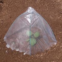 渡辺泰 ぽかぽかキャップセット 5組入 4903702404403 1個（直送品）