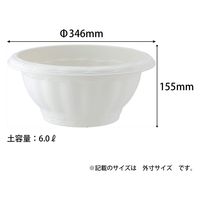 アップルウェアー クイーンボール 35型 ホワイト 4905980112414 1個（直送品）