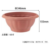 アップルウェアー クイーンボール 35型 ブラウン 4905980112421 1個（直送品）