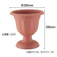 アップルウェアー クイーンカップ Dー28型 ブラウン 4905980112728 1個（直送品）