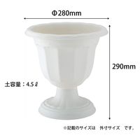 アップルウェアー クイーンカップ Dー28型 ホワイト 4905980112711 1個（直送品）