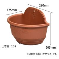 アップルウェアー クレストカベカケ 280型 ブラウン 4905980125278 1個（直送品）