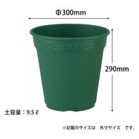 アップルウェアー ロゼアポット 300型 グリーン 4905980137042 1個（直送品）