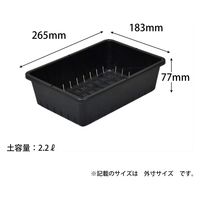 アップルウェアー 育苗コンテナー 6型 ブラック 4905980396081 1個（直送品）