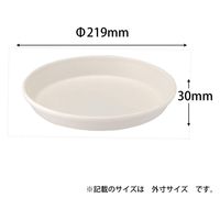 アップルウェアー コティプレート 220型 ホワイト 4905980431867 1個（直送品）