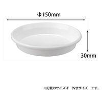 アップルウェアー 鉢皿F型 5号 ホワイト 4905980472013 1個