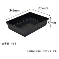 アップルウェアー 育苗コンテナー 12型 ブラック 4905980397088 1個（直送品）