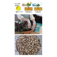 住友化学園芸 マイガーデン植物全般用 1kg 4975292601487 1個（直送品）