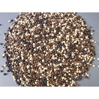 住友化学園芸 マイガーデン 植物全般用 1.6kg 4975292601593 1個（直送品）