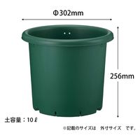 アップルウェアー 野菜鉢 30型 グリーン 4905980947061 1個（直送品）