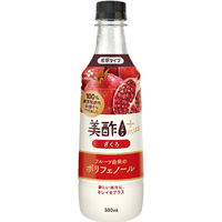 CJフーズジャパン 美酢（ミチョ）プラス ざくろ 500ml 1セット（48本）