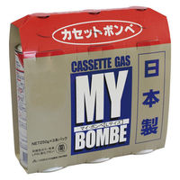 ニチネン マイボンベL 3本パック 1パック（3本入）（わけあり品）