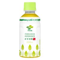 伊藤園 お茶体験 緑茶 200ml 1セット（60本）  お茶 小容量 ペットボトル 【接客】