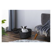 アイリスオーヤマ メッシュペットキャリー ブラウン MPC-450 1個