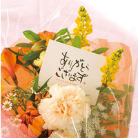 ヘッズ メッセージギフトカード-2(ありがとう) MGC-C2 1パック(30枚入)