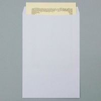 オキナ A3ノビ封筒 パック入 JEL1 1袋