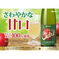 【アウトレット】メルシャン　おいしい酸化防止剤無添加ワイン　シードル　500ml　1本