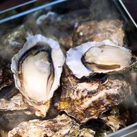 広島牡蠣のカンカン焼き H-KY2 1個（直送品）