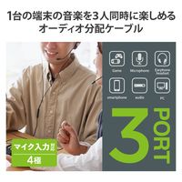 イヤホンジャック マルチイヤホンスプリッター 3分配 φ3.5ｍｍ 4極 EHP-35AD03BK エレコム 1個