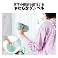 ダンベル やわらか 筋トレ シェイプアップ 衝撃吸収 丸洗い可能 エクリア スポーツ HCF-DBY10BUL エレコム 1個