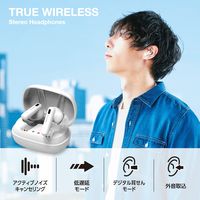 Bluetoothイヤホン 完全ワイヤレス ノイズキャンセリング対応 カナル型 ホワイト LBT-TWS13WH エレコム 1個（直送品）