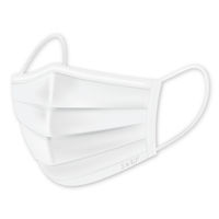 カミ商事 エルモア 不織布マスク ふつうサイズ 30枚 483051 1箱(30枚入)