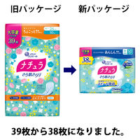 ナチュラさら肌さらりあんしん吸水ナプキン24cm50cc大容量 1セット（38枚×3個）エリエール 大王製紙