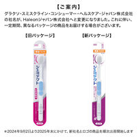 シュミテクト やさしく歯周ケア歯ブラシ 極細シルキー毛 知覚過敏ケア 薄型ワイド ふつう 1セット（3本）Haleonジャパン