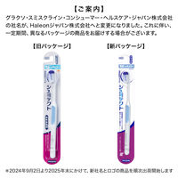 シュミテクト やさしく歯周ケア歯ブラシ 3次元フィット 知覚過敏ケア 薄型レギュラー やわらかめ  1セット（3本）Haleonジャパン