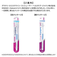 シュミテクト やさしく歯周ケア歯ブラシ 極細シルキー毛 知覚過敏ケア 薄型レギュラー やわらかめ 1セット（3本）Haleonジャパン