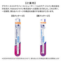 シュミテクト やさしく歯周ケア歯ブラシ 3次元フィット 知覚過敏ケア 薄型ワイド やわらかめ 1セット（3本）Haleonジャパン